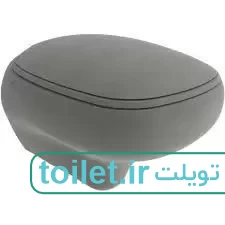 توالت وال هنگ بوچی مدل فنیس طوسی مات توالت وال هنگ بوچی مدل فنیس طوسی مات